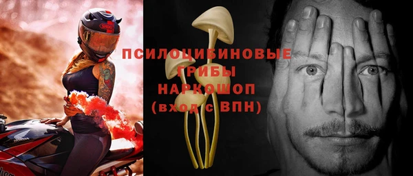 каннабис Майский