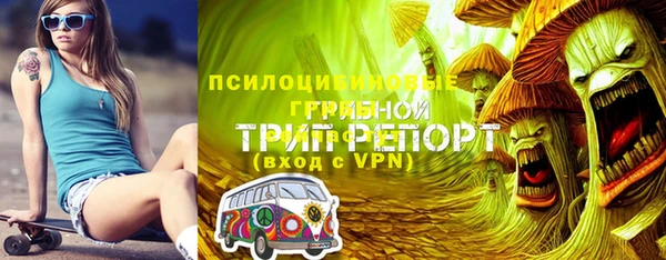 ПСИЛОЦИБИНОВЫЕ ГРИБЫ Магадан