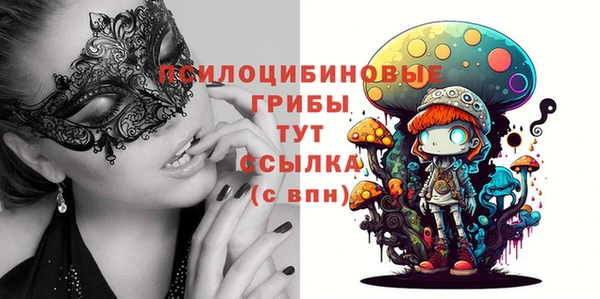 метадон Медногорск