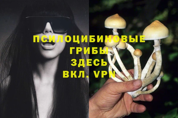 каннабис Майский