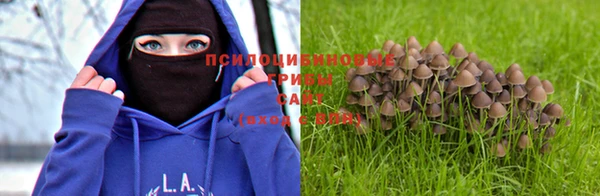 ПСИЛОЦИБИНОВЫЕ ГРИБЫ Магадан